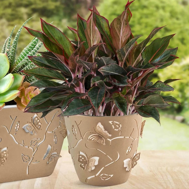 Kit 3 Vasos de Flores Plantas 2,5L cada Cachepot 3D Floreira de Mesa Plástico Borboletas Plasvale